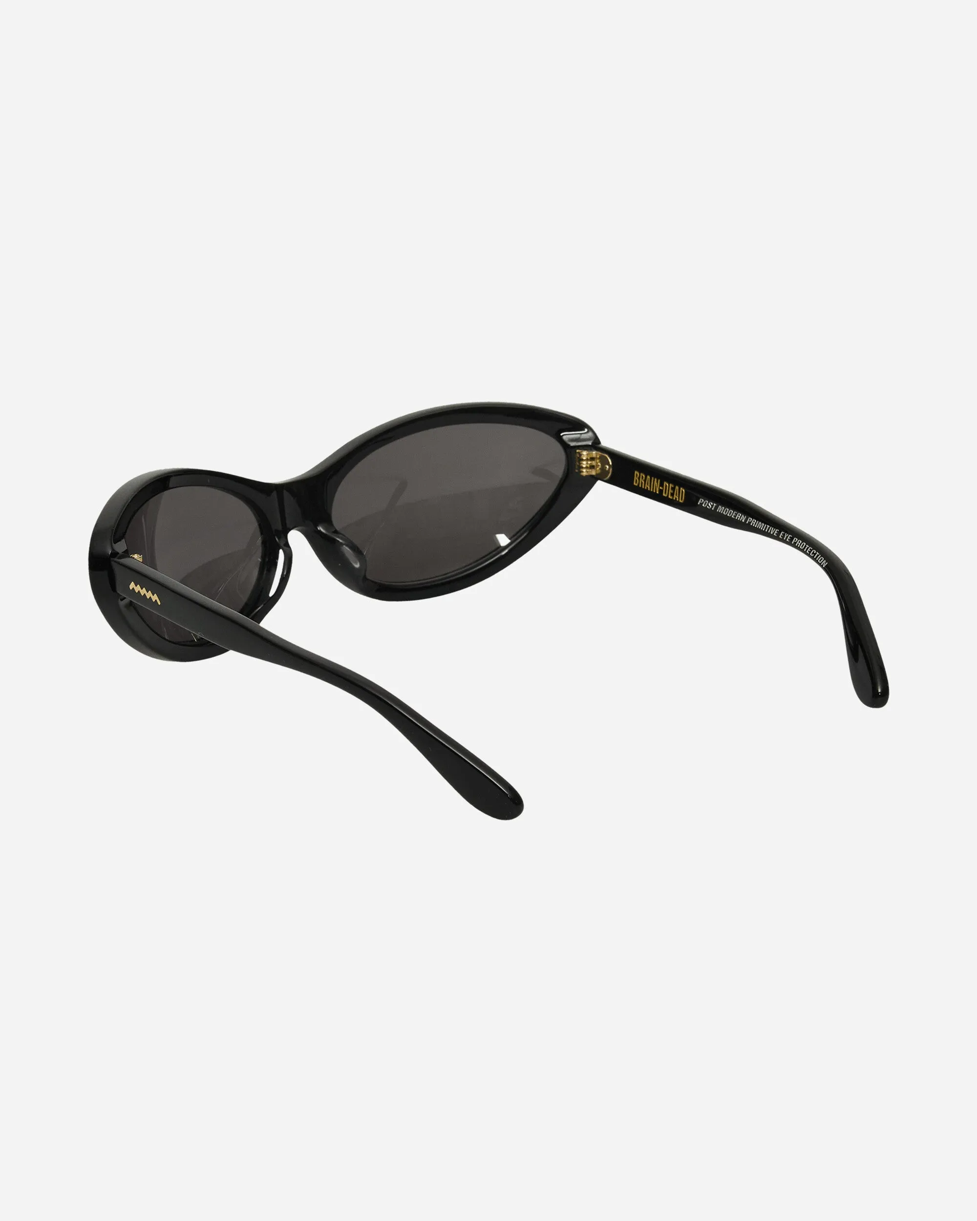 Bug Post Modern Primitive Eye Protection Sunglasses Black