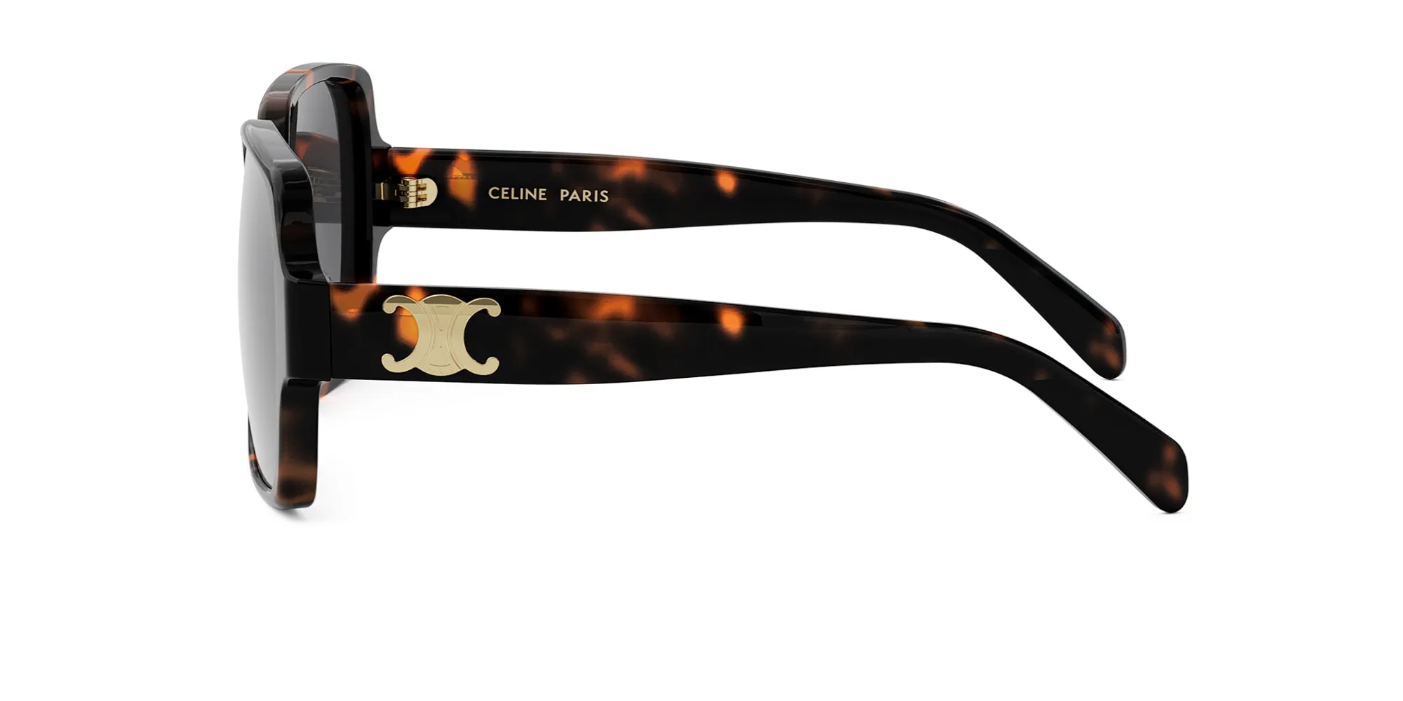 CELINE Triomphe CL40316U