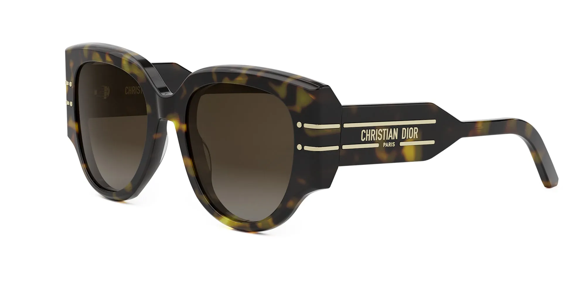 Dior Signature R2I