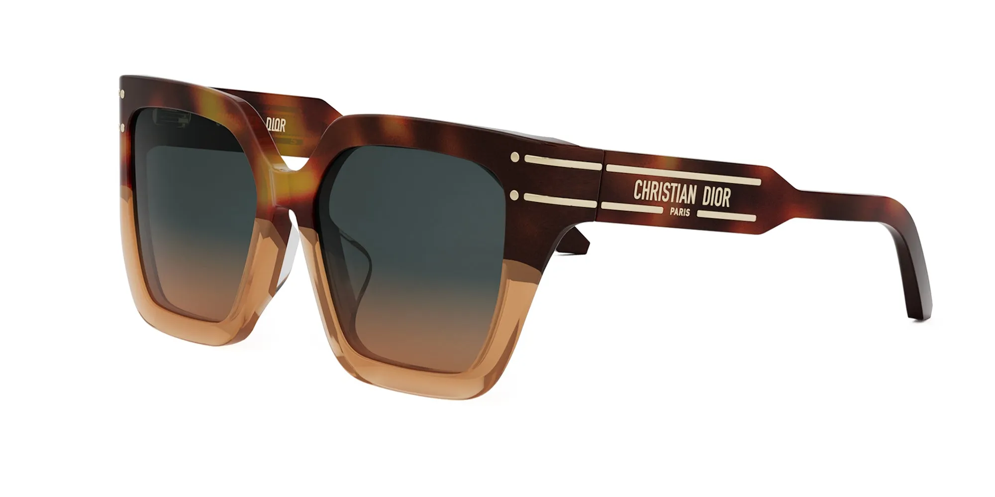 Dior Signature S10F