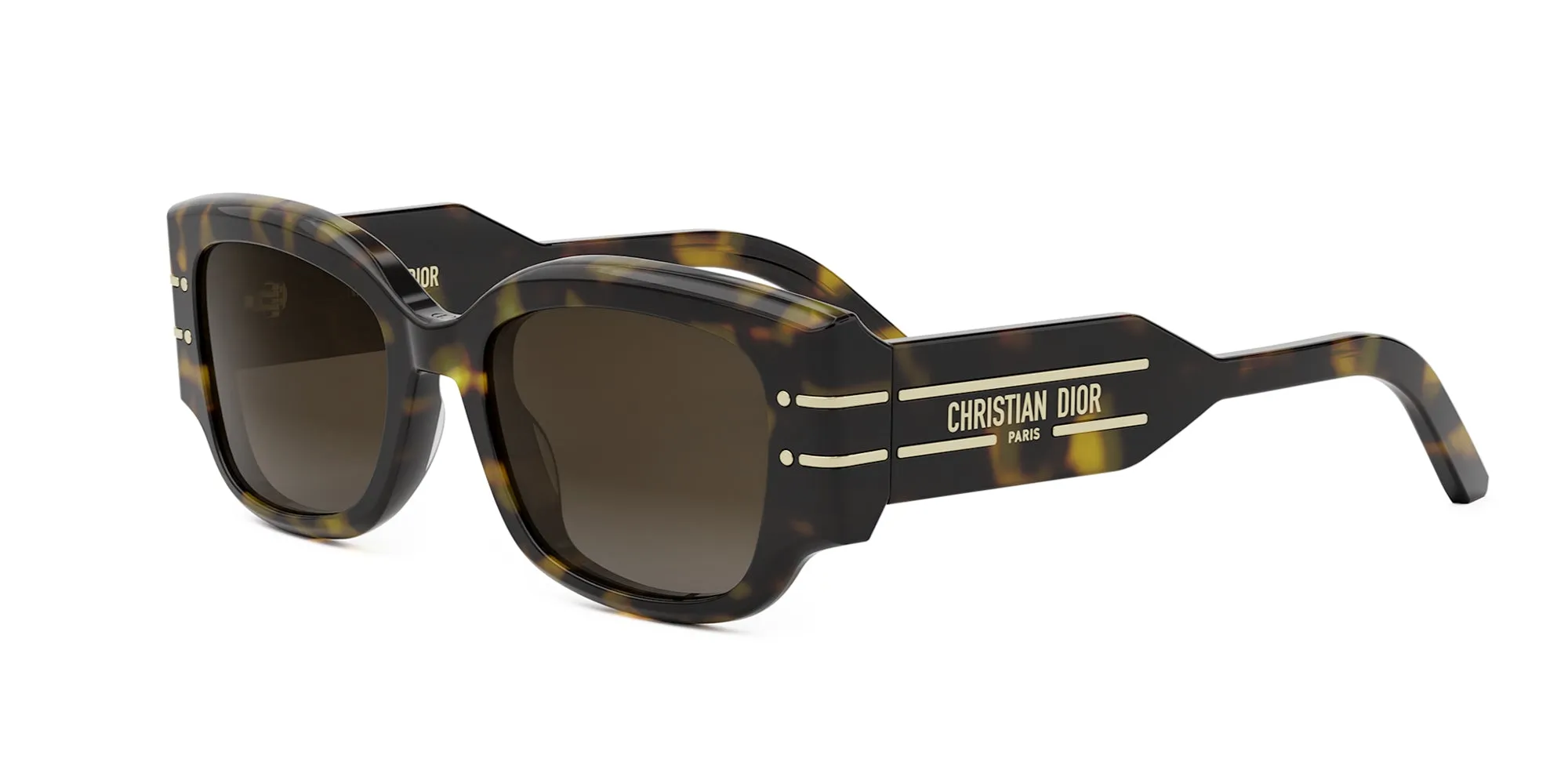 Dior Signature S13I