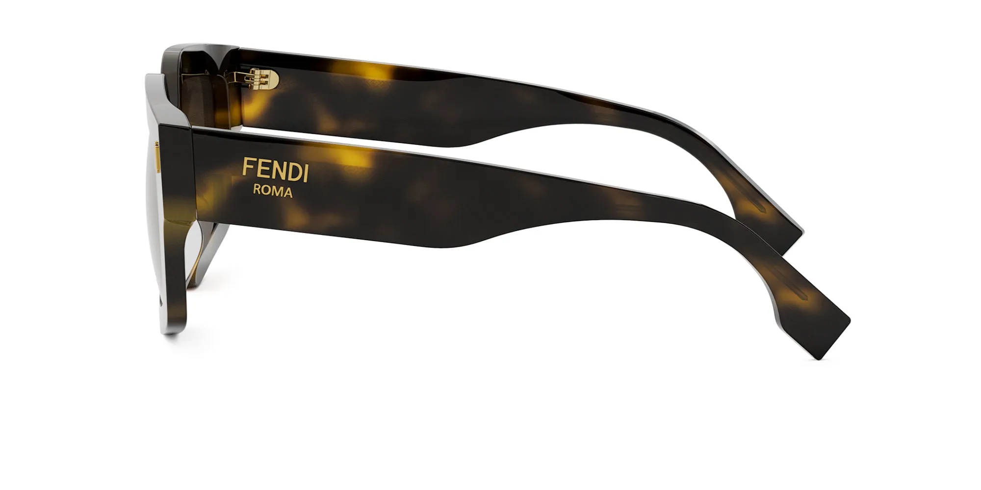 Fendi Roma FE40162I