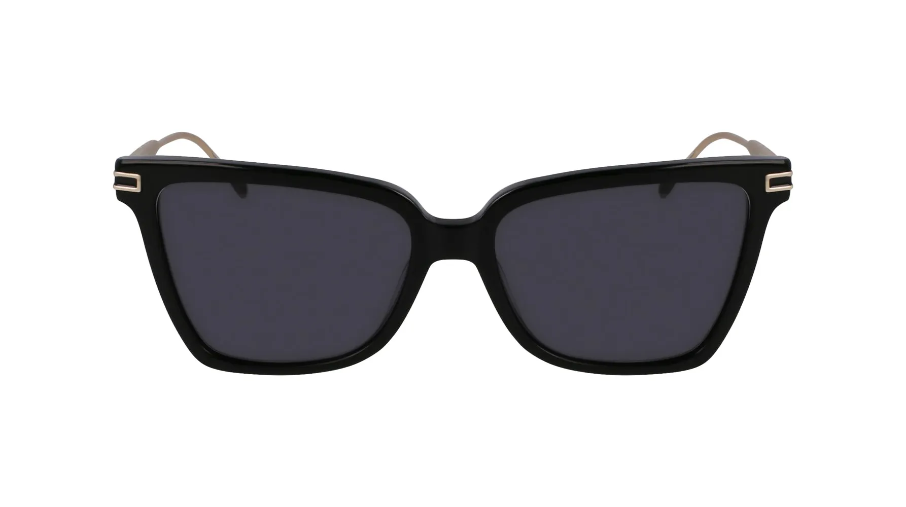 Ferragamo SF2036S