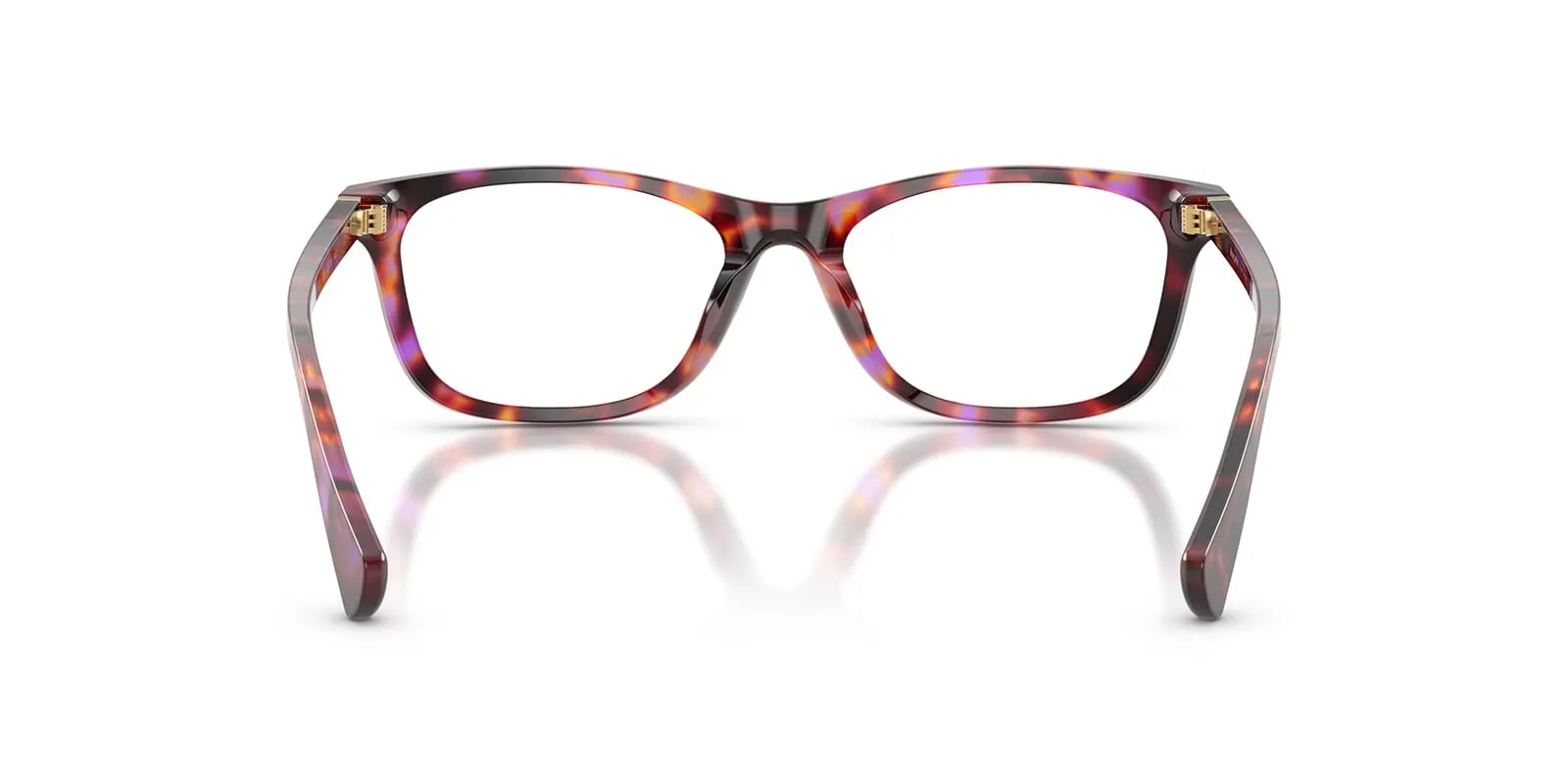 Ralph by Ralph Lauren RA7179U 6239