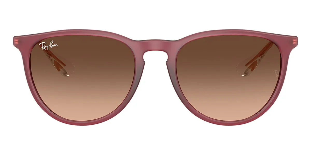 Ray-Ban Erika RB 4171 6815/A5