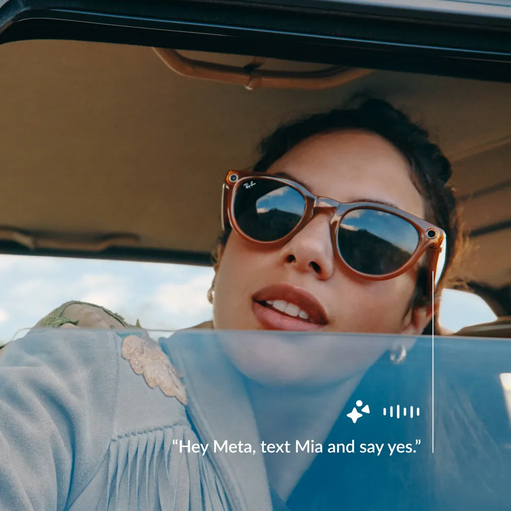 Ray-Ban Meta Skyler RW4010