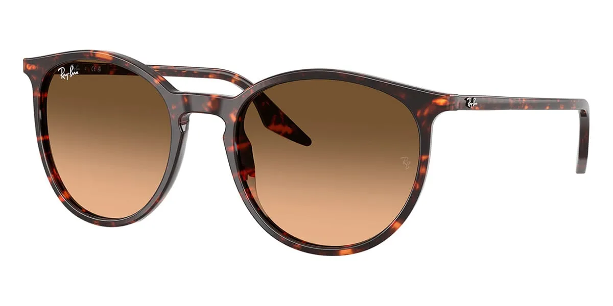 Ray-Ban RB 2204 1429/3B