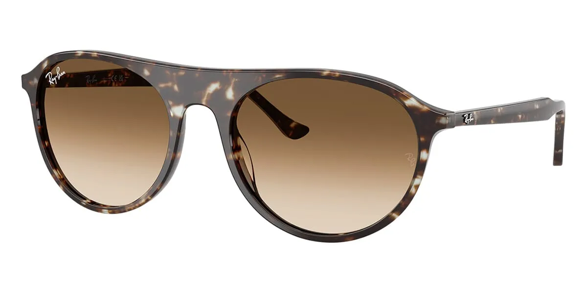 Ray-Ban RB 2215 1431/51