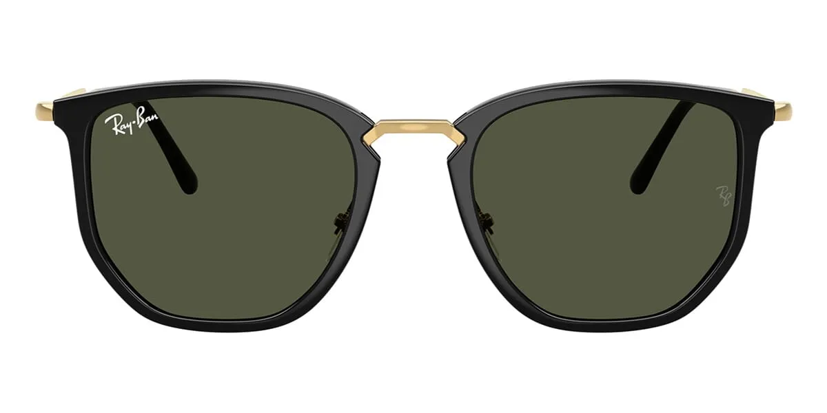 Ray-Ban RB 4451 6306/31
