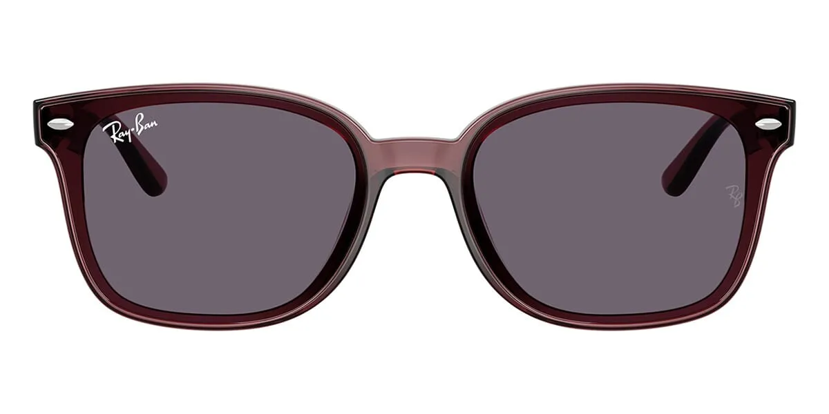 Ray-Ban RB 4461D 6593/73