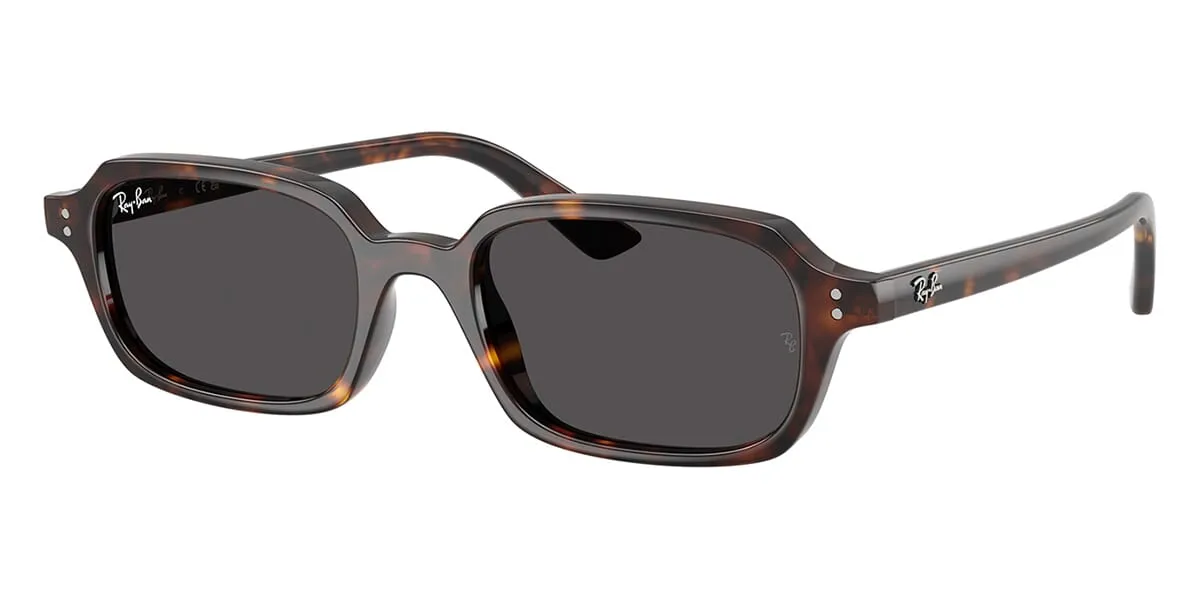 Ray-Ban Zuri RB 4455 1359/87
